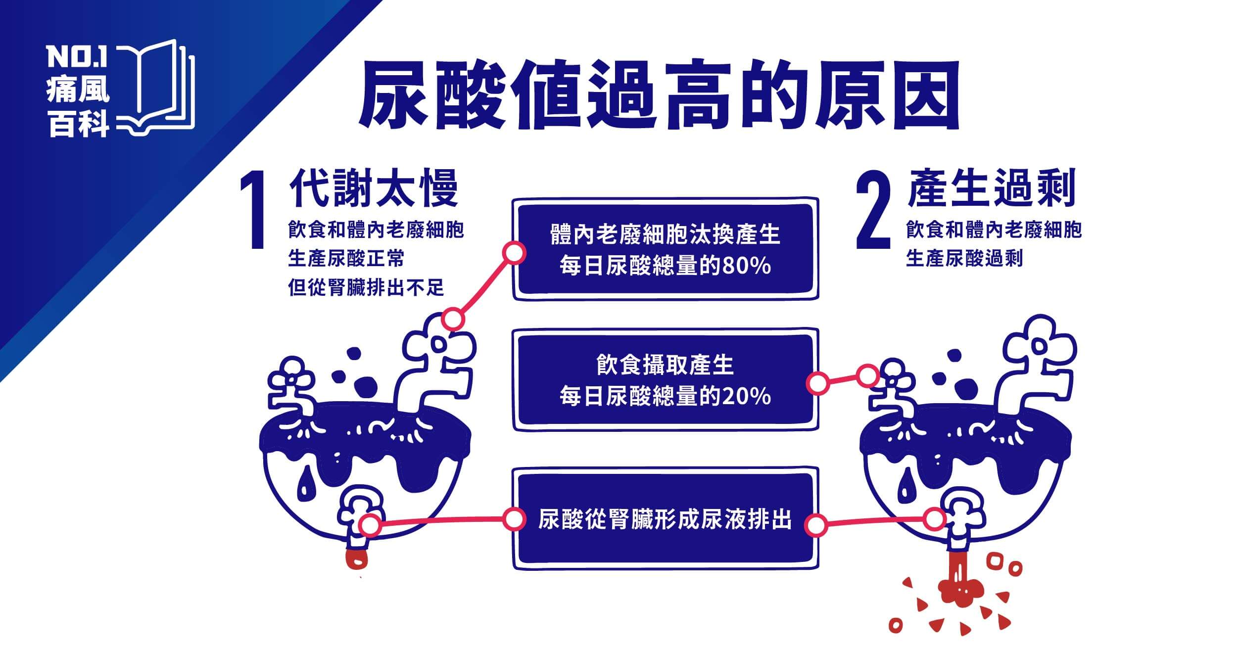 尿酸值範圍