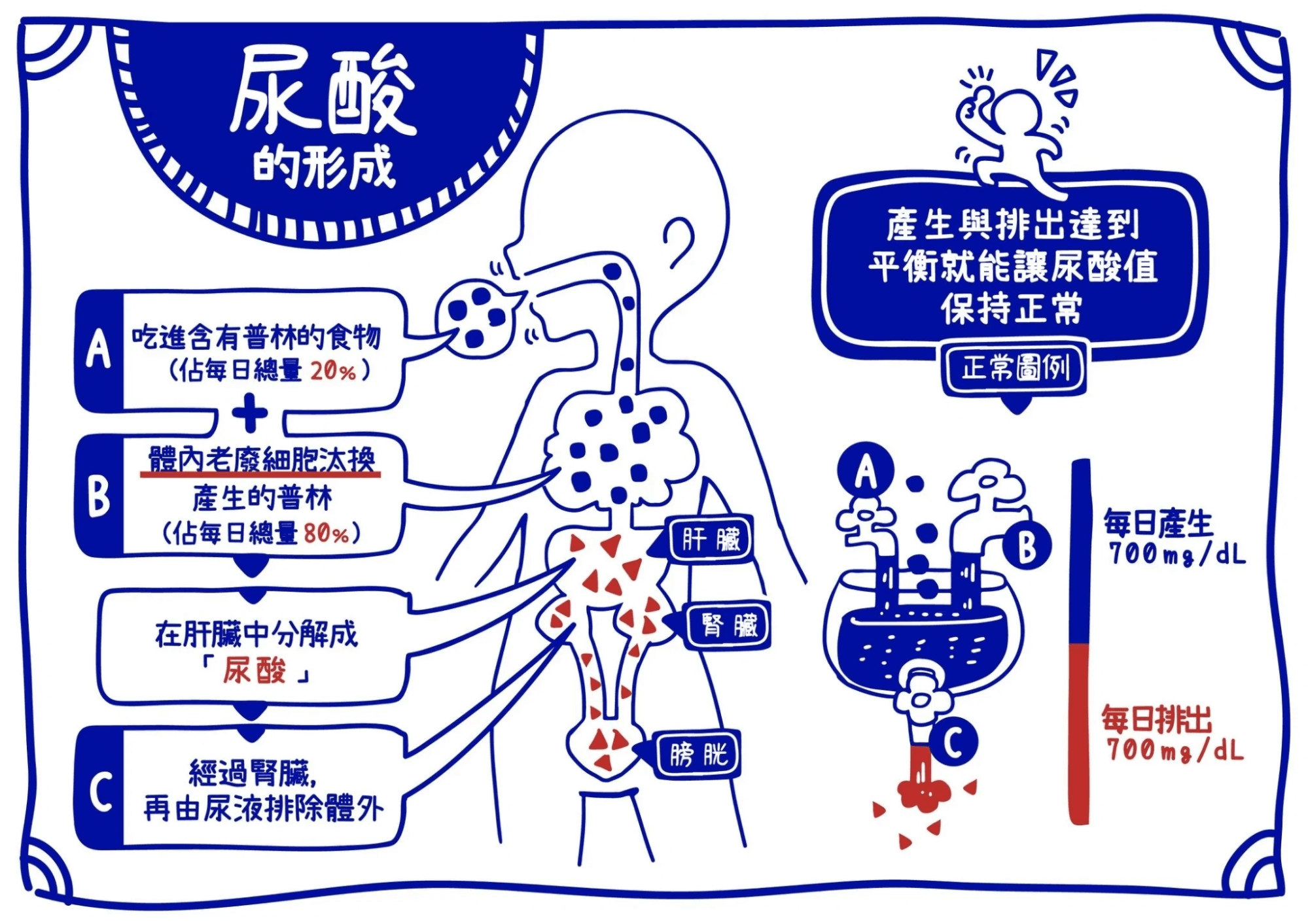 普林代謝